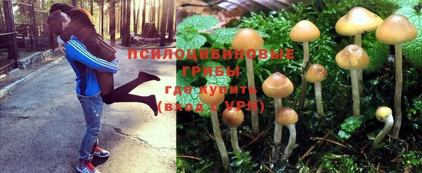 кокаин колумбия Инсар
