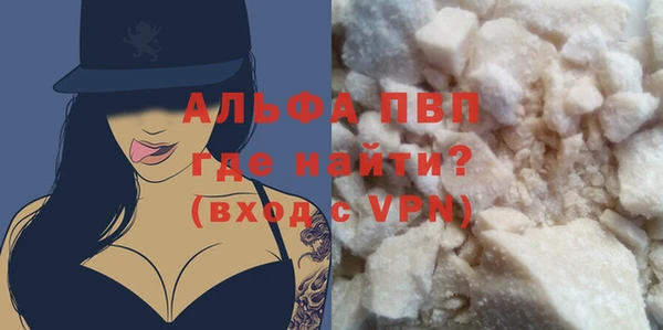 spice Инта