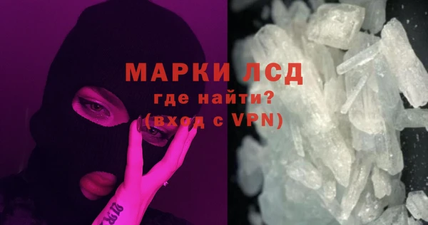 spice Инта