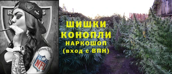 spice Инта
