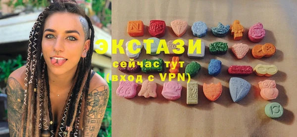 spice Инта