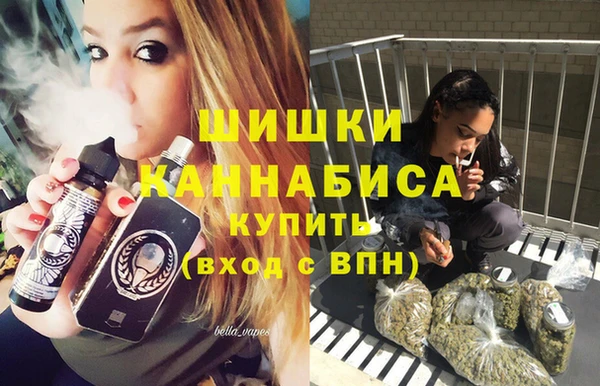 PSILOCYBIN Иннополис