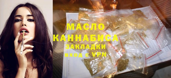 spice Инта