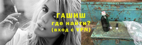 spice Инта