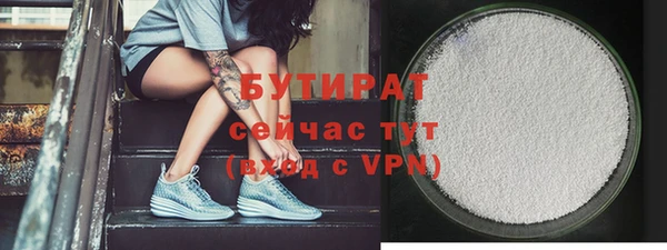 spice Инта
