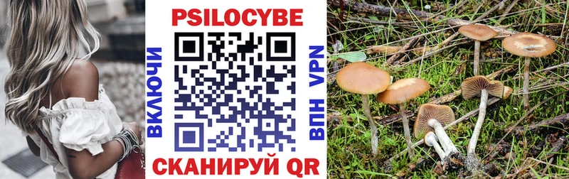 Купить где  Саянск  Псилоцибиновые грибы прущие грибы 